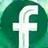 Facebook Icon
